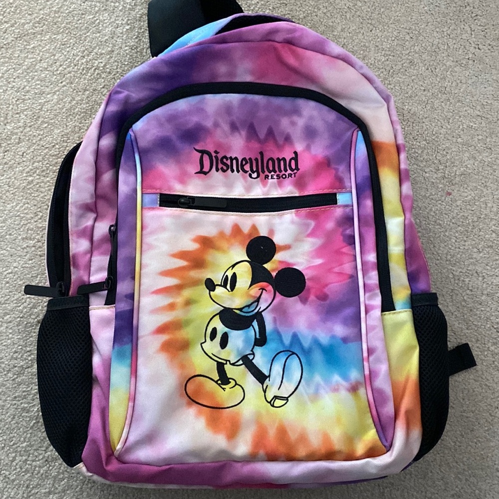 Adult sized Disneyland backpack